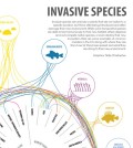 Invasive Species infographic. (Credit: Nate Christopher / Fondriest Environmental)