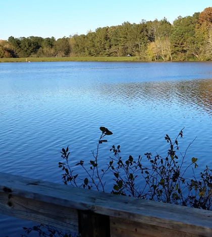 Lake Herrick. (Credit: Thalika Saintil / University of Georgia)