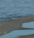 Great Salt Lake has hit its lowest levels since the 1960s. (Still from a video by Fox 13 TV in Salt Lake City)