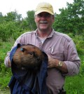 Peter Busher at Boston University uses wire mesh traps to catch beavers; he then transfers them to a denim bag like this one to obtain hair samples for DNA analysis. (Credit: Macauley Mathieu-Busher)