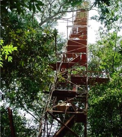 Micrometeorological tower in the transitional forest of Northern Matto Grosso, Brazil. (Credit: ULB/UFMT)