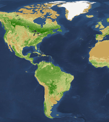 Recent survey shows trillions of trees worldwide. (Credit: Crowther, et al / Nature)