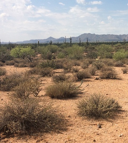 Arid desert. (Credit: Public Domain)