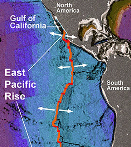 The East Pacific Rise is a mountain range under the Pacific Ocean. (Credit: MBARI/NOAA)