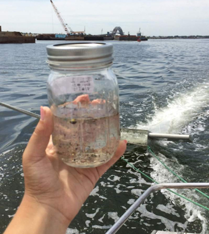 Water sample from Newark Bay in Bayonne, New Jersey showing a mix of plastics. (Credit: Sandra Meola / NY/NY Baykeeper via AP)
