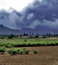 Advancing monsoon clouds and showers in Inda circa 2006. (Credit: PlaneMad via Creative Commons 3.0)