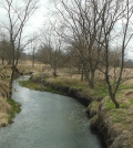 drinking water reservoirs bloomington