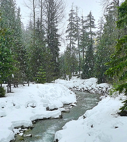 Rain falling on snow. (Credit: Flickr user Malcolm Peacey, Creative Commons 2.0)