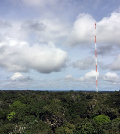 Amazon Tall Tower Observatory in the middle of the Amazon, Brazil. (Credit: Meinrat O. Andreae)
