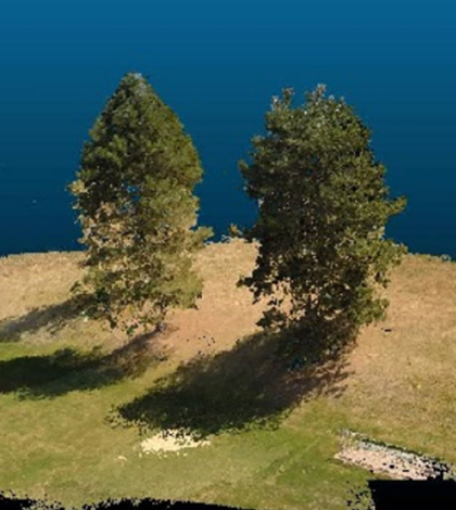 Tree models were made using imaging data collected by aerial drones and the LES forest simulator. (Credit: Washington State University)