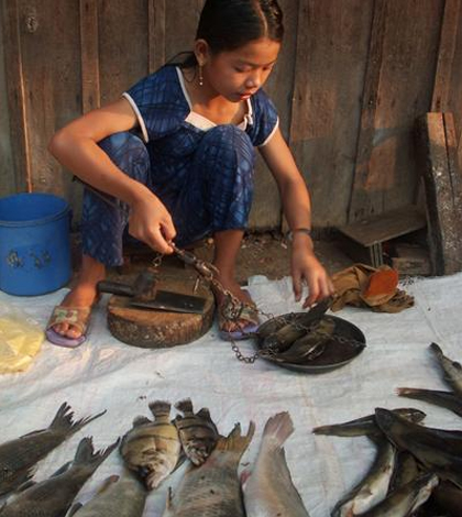 Fish market at Stung Treng, Cambodia. (Credit: William Darwell)