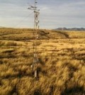 Kendall Grassland in southeastern Arizona. (Credit: R.L. Scott / USDA-ARS)