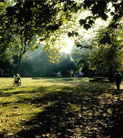 Researchers surveyed Russell Square, London and other green spaces for the study. (Credit: Forestry Commission)
