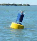 NexSens CB-950 Data Buoy deployed near Liberty Island in the California Delta. (Credit: Scott Nagel / U.S. Geological Survey California Water Science Center)