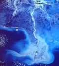 Mississippi River Delta. (Credit: NASA)