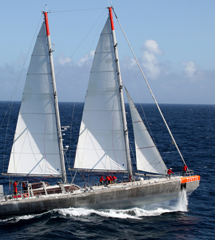 Tara Expeditions schooner. (Credit: European Molecular Biology Laboratory)