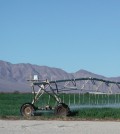 Irrigation in the Amargosa Desert uses water from the Death Valley Region Aquifer. (Photo courtesy of David Stonestrom / U.S. Geological Survey)