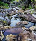 A bedrock-floored streambed after a recent flow event in Kohala Peninsula. (Credit: Brendan Murphy)