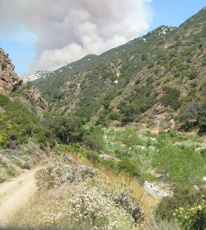 A border fire near the Santa Margarita Ecological Reserve. (Credit: University of California, San Diego / HPWREN)
