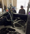 Study lead author David Koweek (right) and co-author David Mucciarone (left) monitor oceanographic instruments during tank validation experiment. (Credit: Heidi Hirsh)