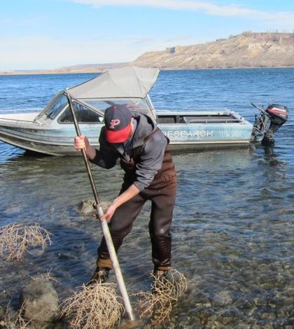 Scientists install equipment in the Columbia River to draw water samples from beneath the river bed, where groundwater and river water mix. (Courtesy: Pacific Northwest National Laboratory)