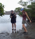 Exequiel Ezcurra (left), director of the University of California Institute for Mexico and the United States, and Paula Ezcurra, researcher with Scripps Institution of Oceanography, assemble a corer in a Baja, California mangrove area. (Credit: Exequiel Ezcurra)