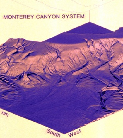 3D image of the Monterey Canyon system derived from approximately 4,000,000 soundings. (Credit: NOAA)