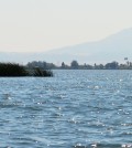 Sacramento – San Joaquin River Delta with Mount Diablo in the background. (Credit: Wikimedia Commons User Oleg Alexandrov via Creative Commons 3.0)