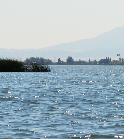 Sacramento – San Joaquin River Delta with Mount Diablo in the background. (Credit: Wikimedia Commons User Oleg Alexandrov via Creative Commons 3.0)