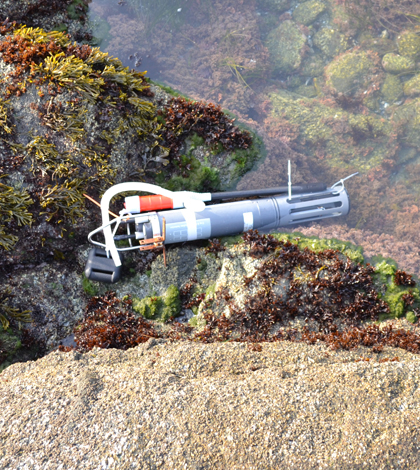 Sampling pump and a device to measure temperature, salinity and depth in a tide pool of the Bodega Marine Reserve. (Credit: Lester Kwiatkowski / Carnegie Institution for Science)