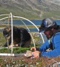 Researchers measuring on the tiny tundra plants. (Credit: Magnus Krashøj)