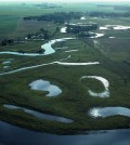 Millions of acres of riverine wetlands have disappeared across the Midewest. (Credit: USDA Natural Resources Conservation Service)