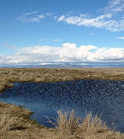 Wetland in Douglas County, Washington. (Credit: Meghan Halabisky / University of Washington)