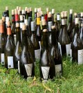 Wine bottles. (Credit: Public Domain)