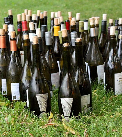 Wine bottles. (Credit: Public Domain)