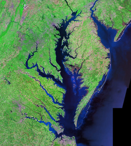 Chesapeake Bay. (Credit: Landsat / NASA)