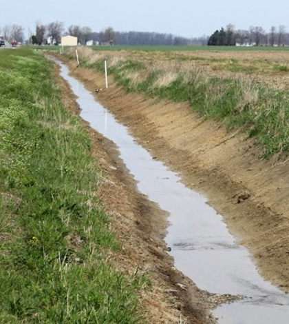Drainage ditch between a field and road. (Credit: Farm and Dairy)
