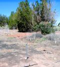 Heiser springbox area, after demolition and revegetation work, August 2010. (Credit: National Park Service)