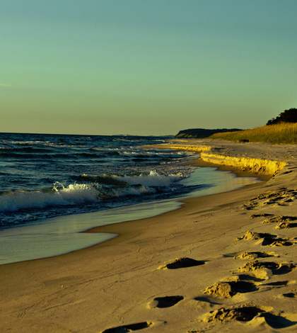 Lake Michigan coast. (Credit: Dustin Tinney via Creative Commons 2.0)