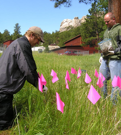 USGS scientists collect composite soil samples at Mount Rushmore National Memorial. (Credit: U.S. Geological Survey)