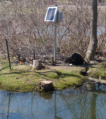 A monitoring site at a major inflow to Sippo Lake, on its southern end. (Credit: Daniel Kelly / Fondriest Environmental)