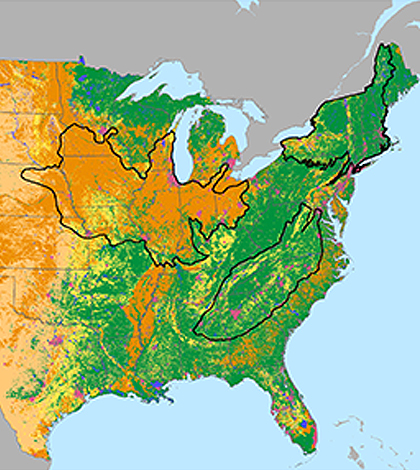 Researchers are studying the relations between stressors and stream ecology across large regions of the United States. (Credit: USGS)