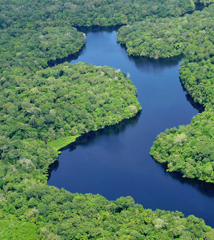 Amazon rainforest. (Credit: Neil Palmer / Center for International Forestry Research via Creative Commons 2.0)