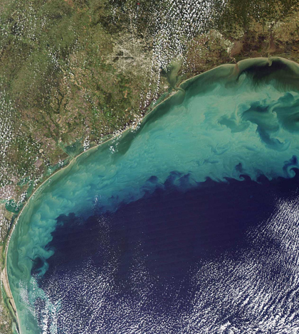 gulf of mexico dead zone