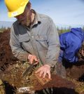 thawing permafrost soils arctic