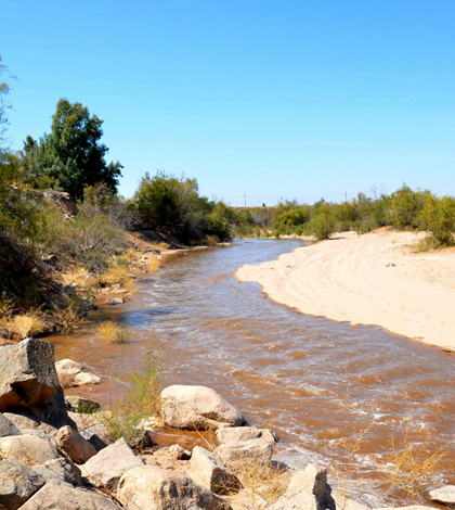 text: colorado river wetland restoration