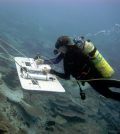 Coral Reef Ecosystem Program NOAA divers