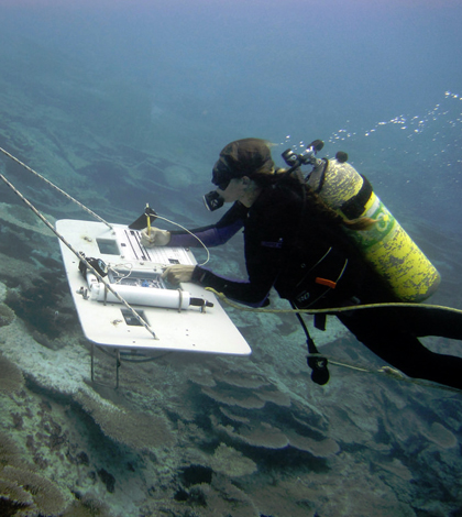 Coral Reef Ecosystem Program NOAA divers