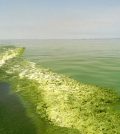 lake erie 40 percent reduction phosphorus