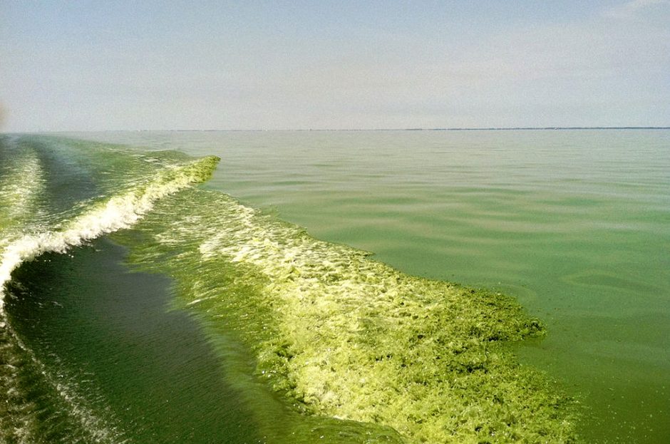 lake erie 40 percent reduction phosphorus